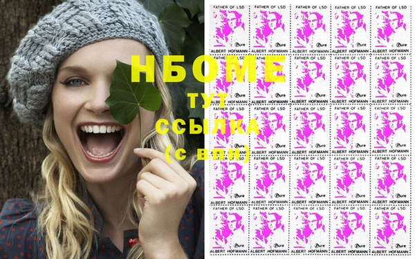 PSILOCYBIN Белокуриха