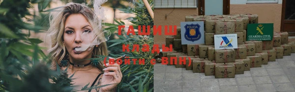 PSILOCYBIN Белокуриха