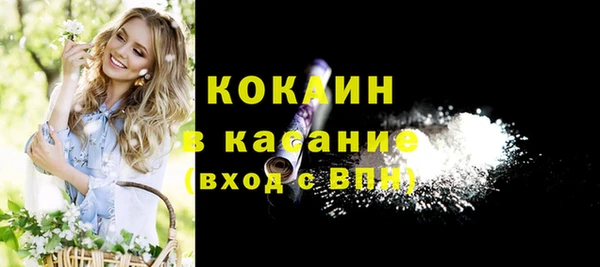 PSILOCYBIN Белокуриха