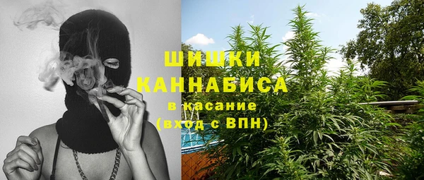 PSILOCYBIN Белокуриха