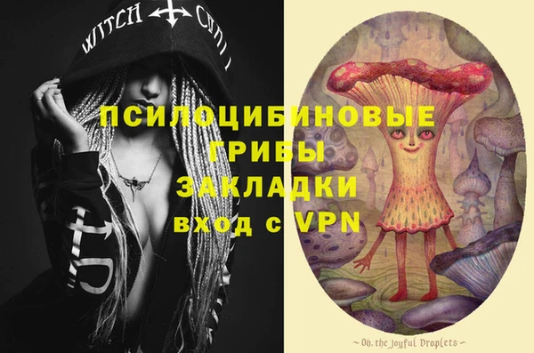 PSILOCYBIN Белокуриха