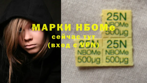PSILOCYBIN Белокуриха
