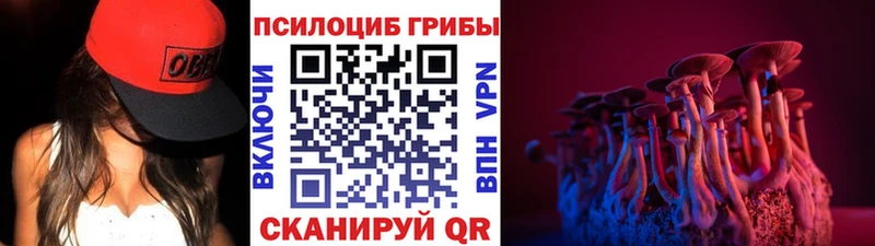 Псилоцибиновые грибы Magic Shrooms  Ленск 