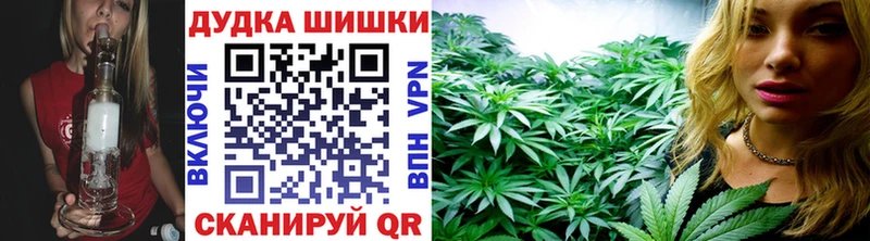 как найти   Ленск  Конопля семена 